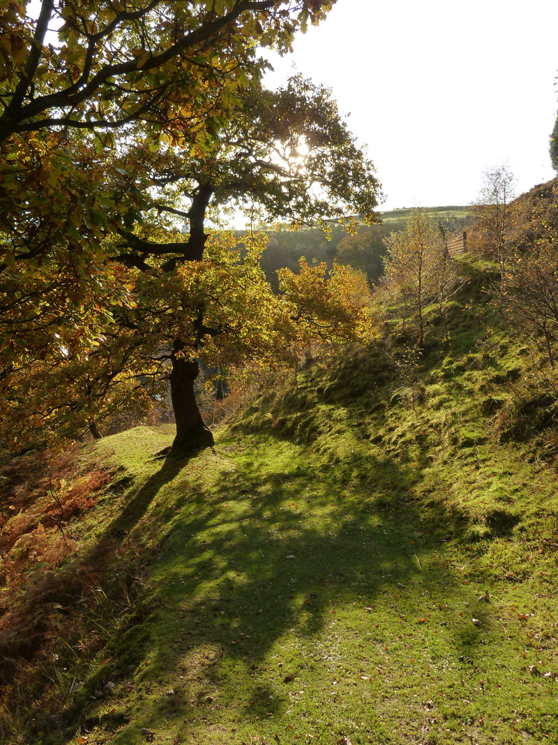 Pudsey Clough